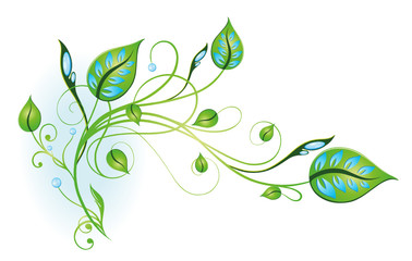 Ranke, flora, filigran, Blätter, Eco, Öko, Bio