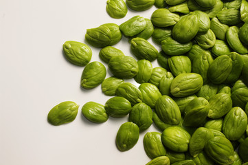 sator on white backgroud