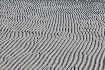Sandwellen bei Ebbe