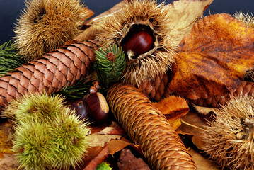Castagne
