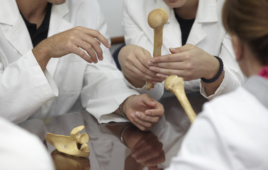 education university student bone anatomy biology