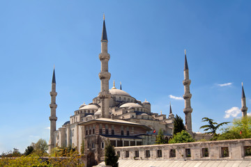 Fototapeta na wymiar Mosque in Istanbul, Turkey