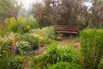 Forgotten garden yard in fog. - 26946885