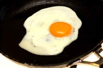 Fried Egg