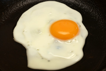 Fried Egg