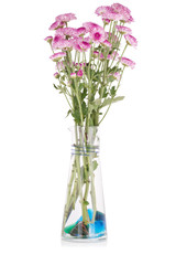 Pink chrysanthemums in a vase.