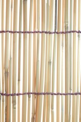 Bamboo blind