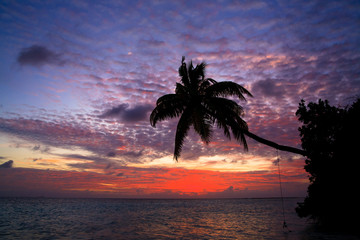 Naklejka na ściany i meble Maldivian Sunset