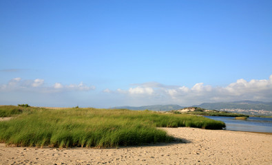 Scenic beach with green grass. Sardinia, Italy.