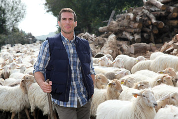 Shepherd standing by sheep in meadow