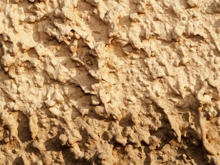 Stippled-finish paint
