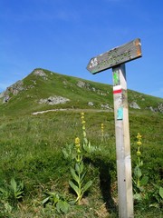Chemin de Randonnée Cantal