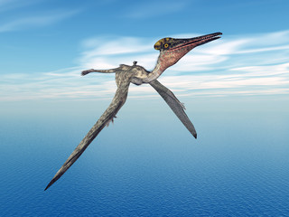 Pterodactylus © Michael Rosskothen