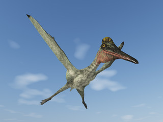 Pterodactylus © Michael Rosskothen