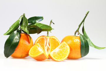 Clementine_21