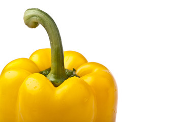 Yellow Pepper Closeup, isolated on white