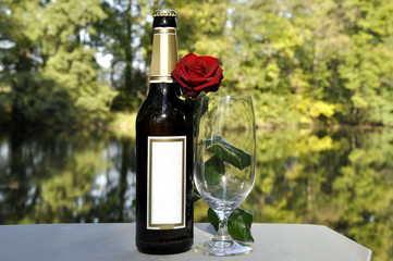 Stilleben mit Bier, Glas und Rose