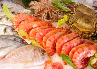 Printed kitchen splashbacks Sea Food fresh seafood