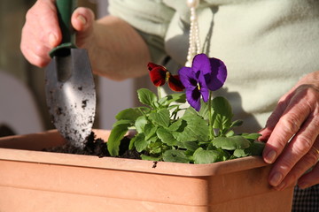 jardinage