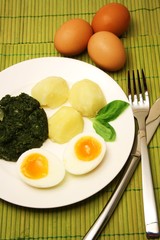 vegetarisches Mittagessen