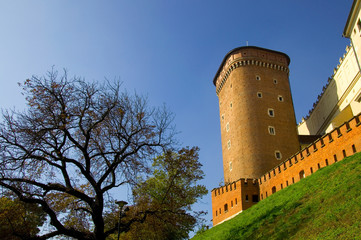 Wawel - Krakau - Polen