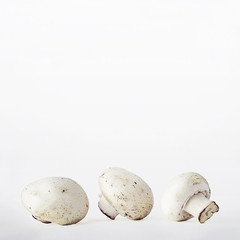 Champignons