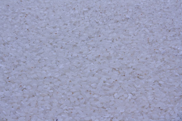 Full frame view of old sushi rice. Focus across entire surface.