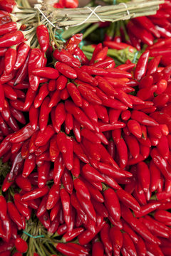 CHILI IN B&Uuml;NDEL