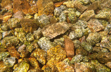 Diving in Egypt