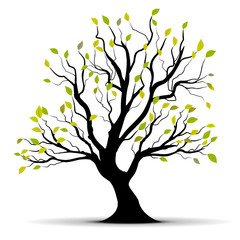 Fototapeta premium arbre et feuilles vertes stylisé sur un fond blanc