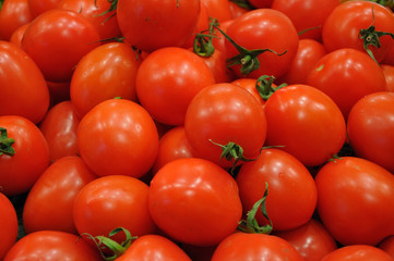 Tomatoes