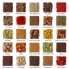 ndian spices collection with titles