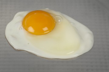 Close up of Fried Egg