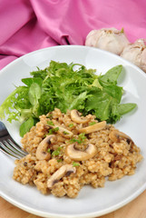 Risotto Reis mit Champignons und Salat
