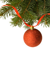Christmas background whis red sphere and Pine branch