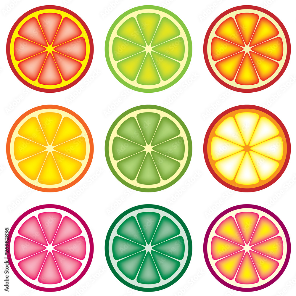 Poster vector set of colorful citrus slices