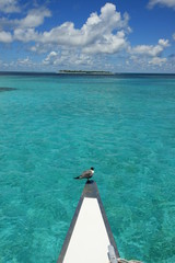 Fototapeta premium catamaran aux tobago cays
