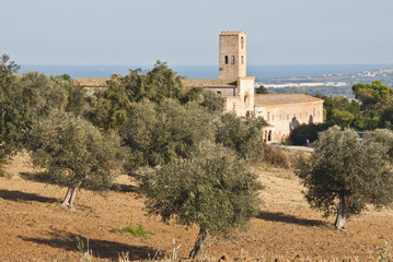 Abbazia di S. Maria di Propezzano 11