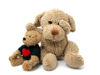 Teddy bear and dog