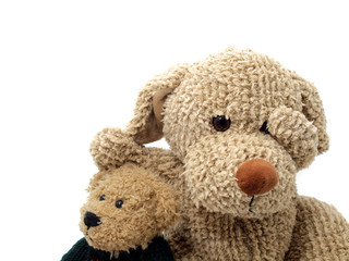 Toy dog and teddy bear
