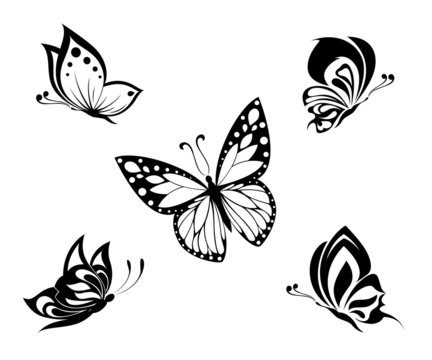 Tattoo black and white butterflies, set