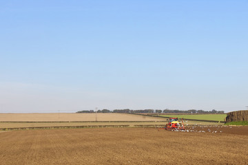 sowing barley