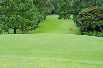 Obraz premium Green Grass Of A Golf Course