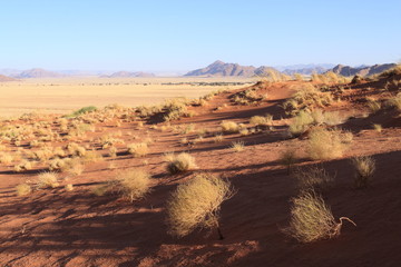 Fototapeta premium Paysage du désert du Namib