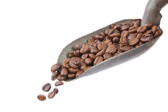 Falling coffe beans, isolated