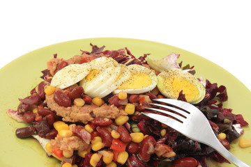 Salad with bean tuna and egg