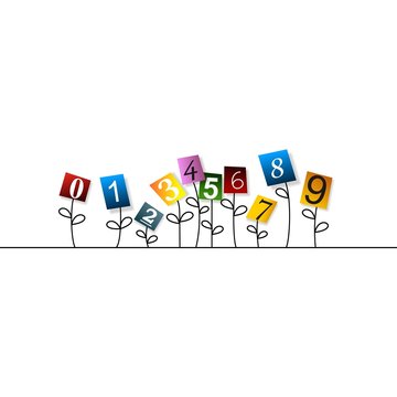 FLORES DE NUMEROS