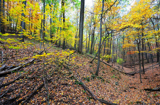 fall mountain