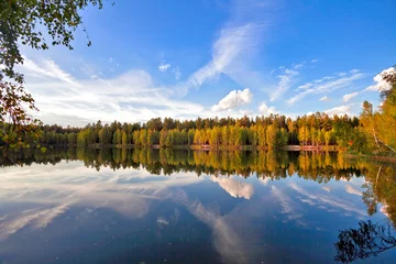 Photo sur Plexiglas Automne autumnal forest near the lake