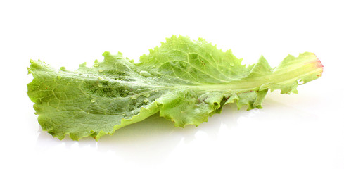 Salad leaves isolated on white